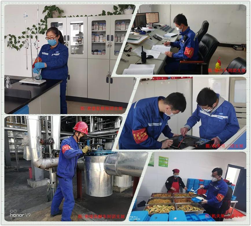 1586910852899001.jpeg 1586910852899001.jpeg