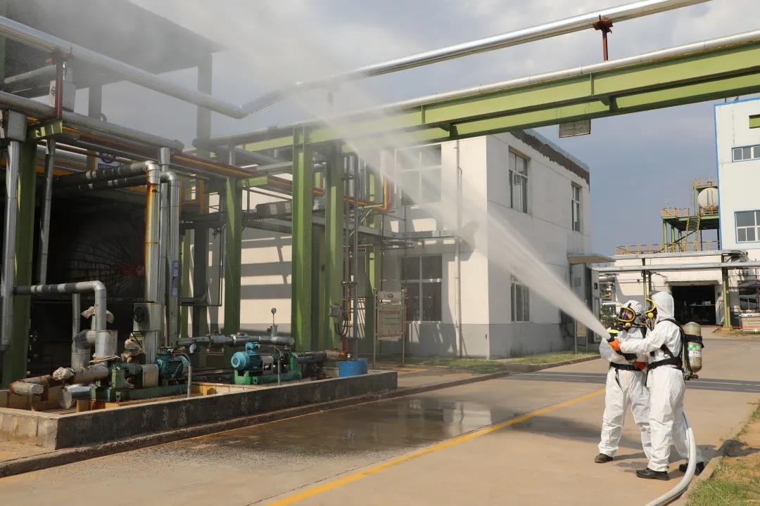 1624681381593427.jpeg 88.jpg