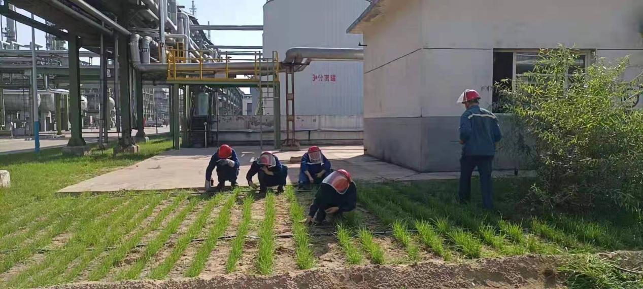 1628128659312995.jpeg 01詩歌.jpg