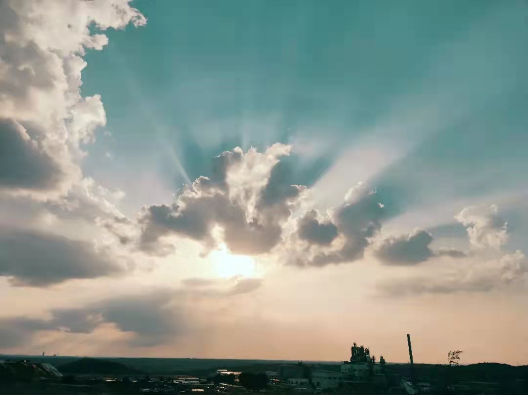 1644541263851701.jpeg 從大學到工作的轉變.jpg