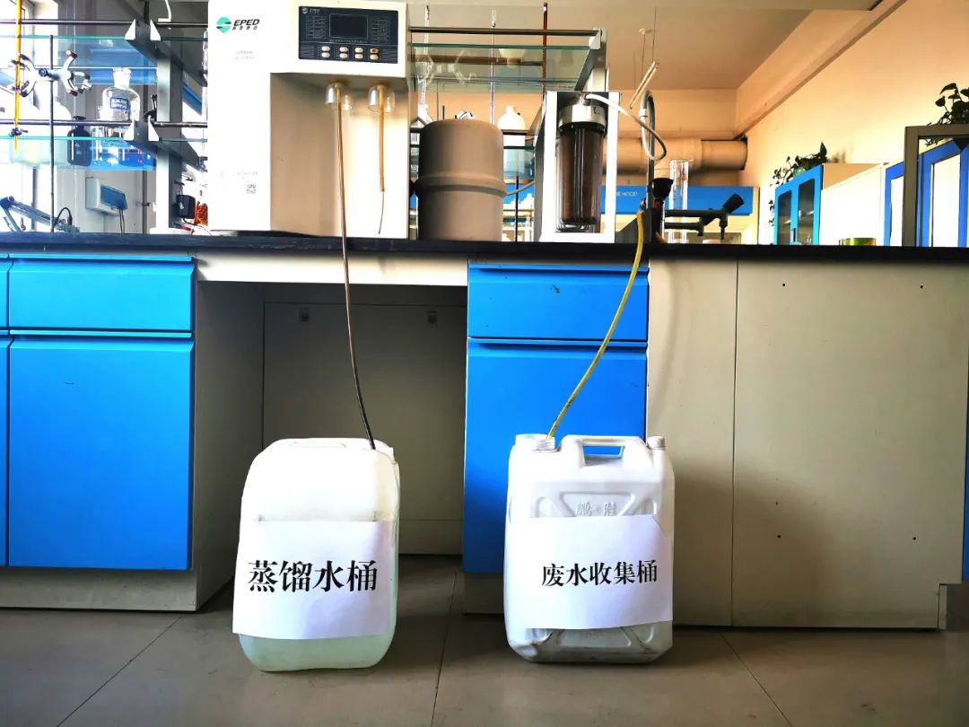 1646268064174973.jpeg 6666.jpg