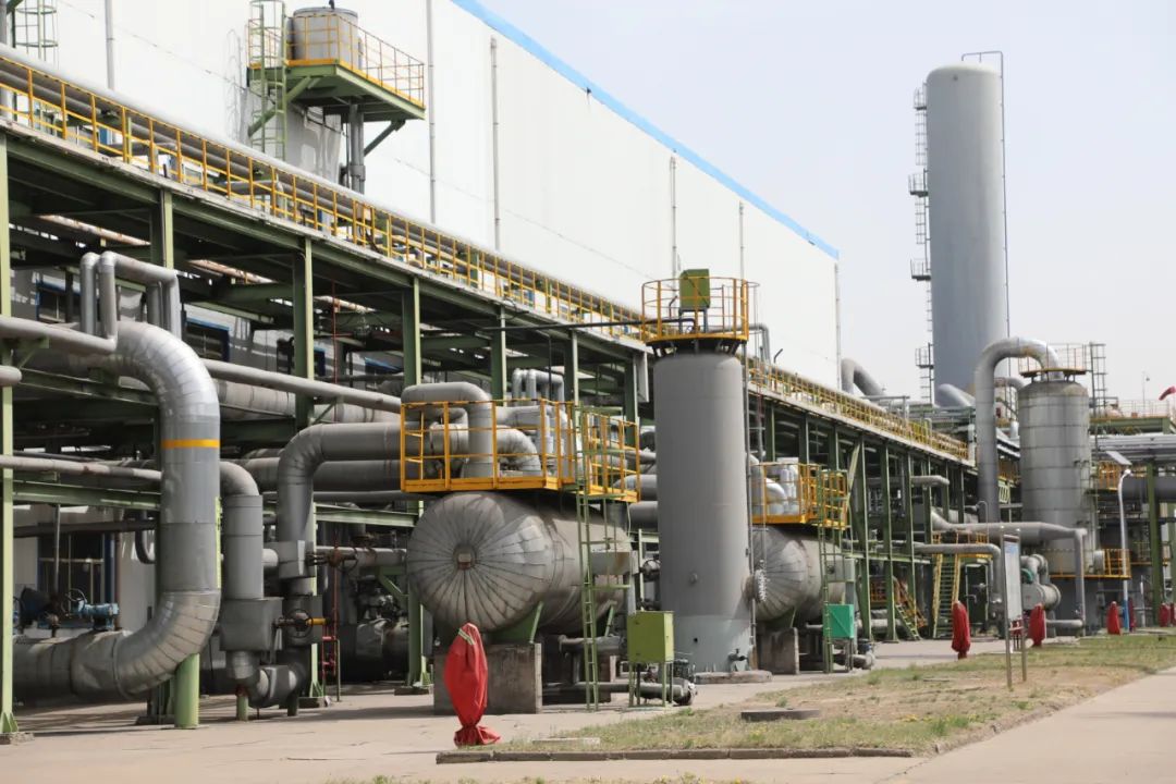 1653553853402814.jpeg 2.1.jpg