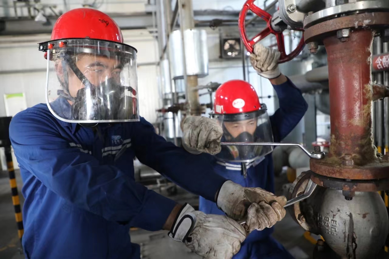 1686098091765152.jpeg 8.jpg