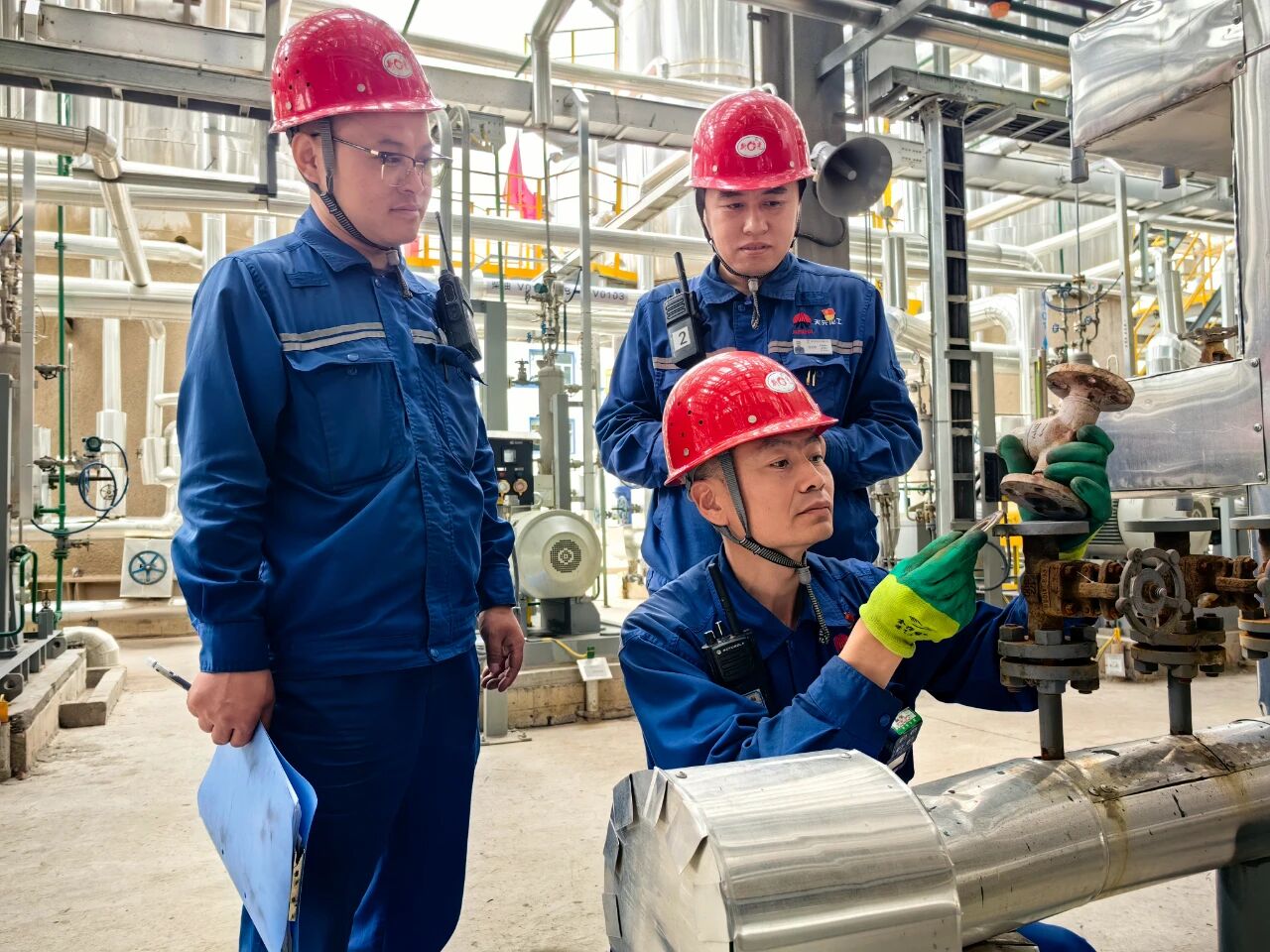 1757295232242602.jpeg 4.jpg